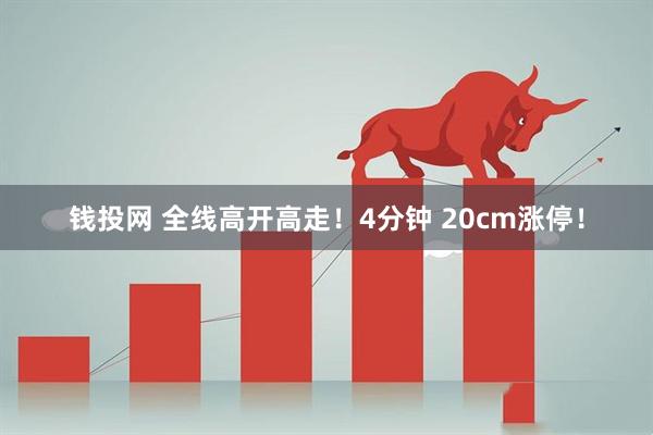 钱投网 全线高开高走！4分钟 20cm涨停！
