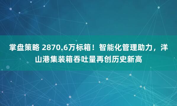 掌盘策略 2870.6万标箱！智能化管理助力，洋山港集装箱吞吐量再创历史新高