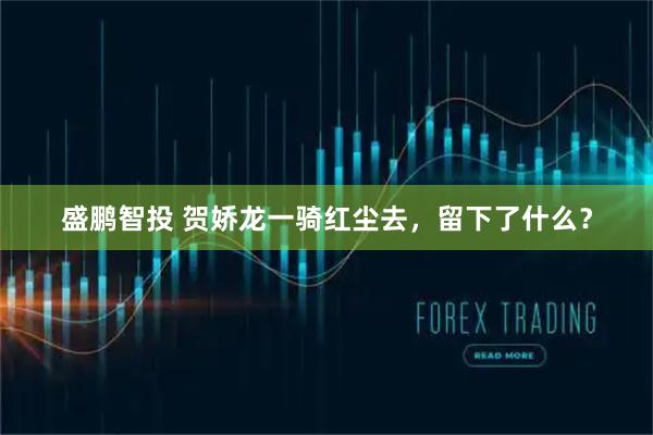 盛鹏智投 贺娇龙一骑红尘去，留下了什么？