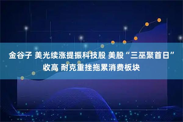 金谷子 美光续涨提振科技股 美股“三巫聚首日”收高 耐克重挫拖累消费板块