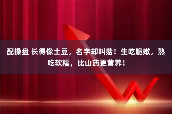 配操盘 长得像土豆,名字却叫菇!生吃脆嫩,熟吃软糯,比山药更营养!